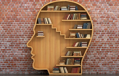 head profile-shaped bookshelf